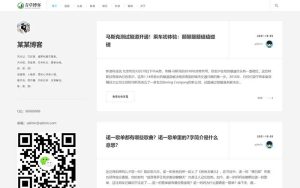 (自适应手机版)极简个人博客文章自媒体网站模板