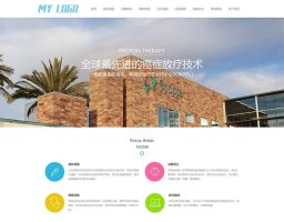 (自适应手机端)医疗试管婴儿网站pbootcms模板 海外就医网站源码下载