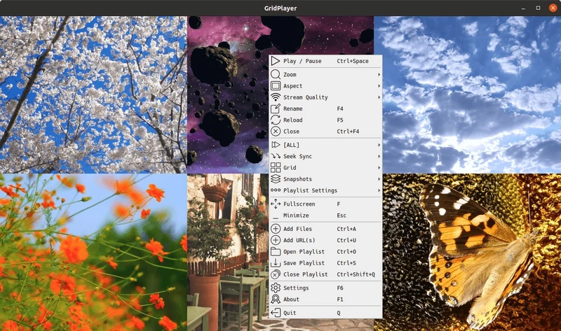 GridPlayer