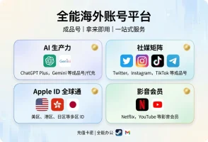 出海百宝箱：账号买断与合租拼车，解决“账号与订阅焦虑”