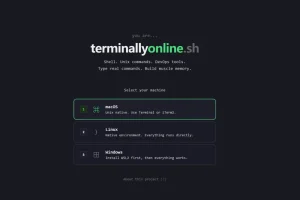 Terminally Online--Linux命令行学习网站
