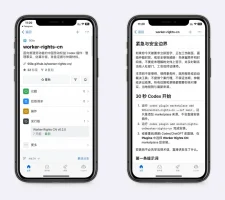 劳动权益codex插件