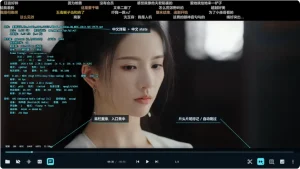 windows本地播放器