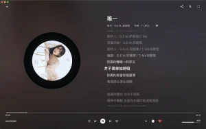 LynMusic-跨平台本地音乐播放器