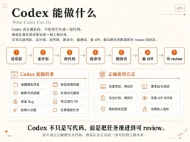 Codex 橙皮书从安装到实战案例的全链路使用指南