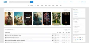 EXT Torrents BT 种子搜索与索引网站