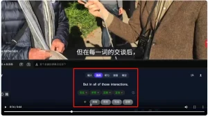 好用的语言学习浏览器插件