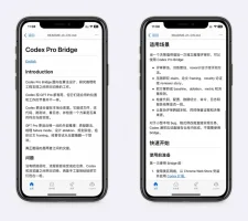 Codex和GPT Pro接力