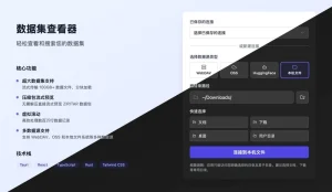 Dataset Viewer-查看超大数据集的桌面工具