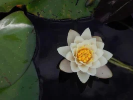 patatap - 用键盘敲出电音和烟花